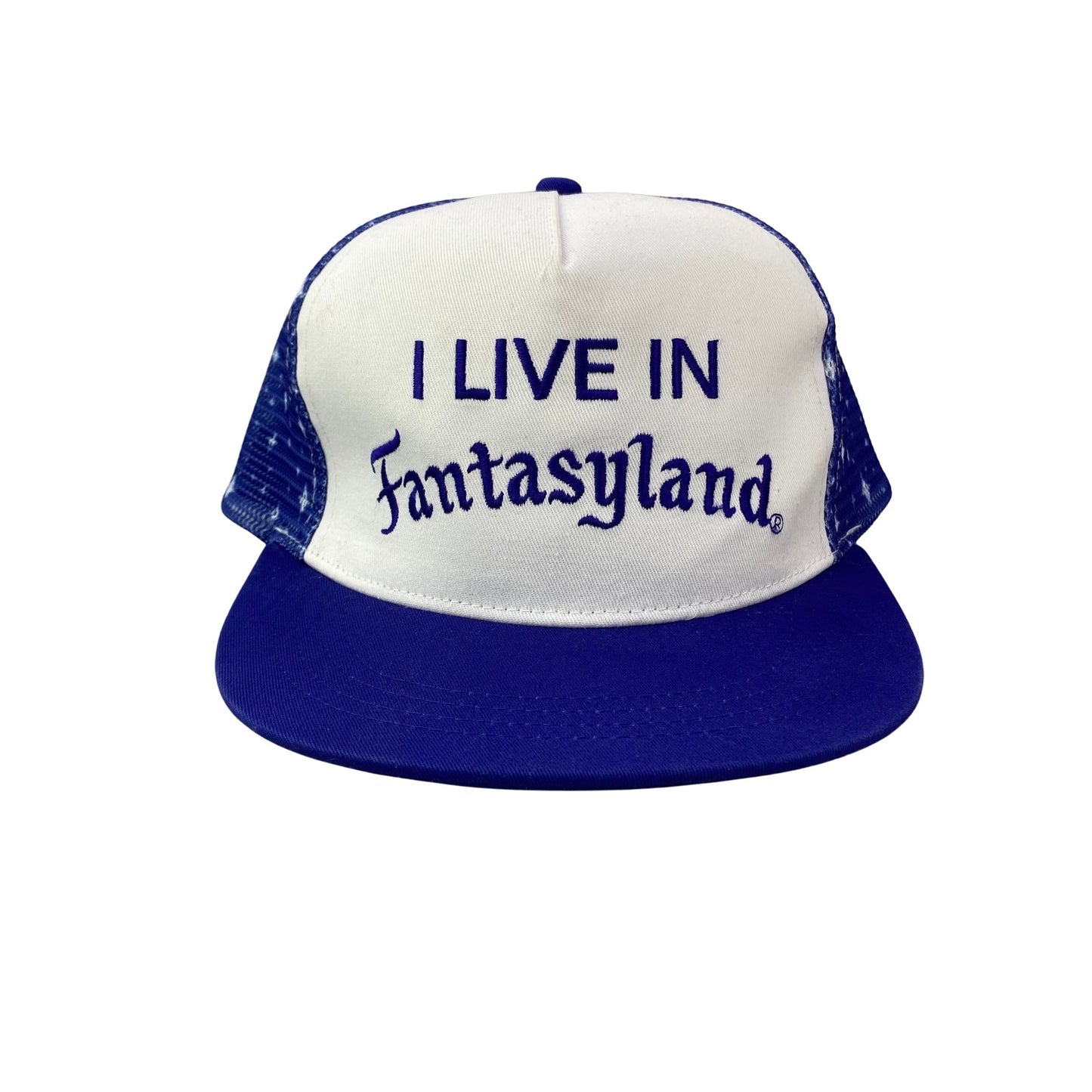 Disney x I Live In Fantasyland Trucker Hat