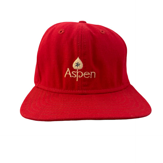 Vintage 80s 90s Aspen Hat