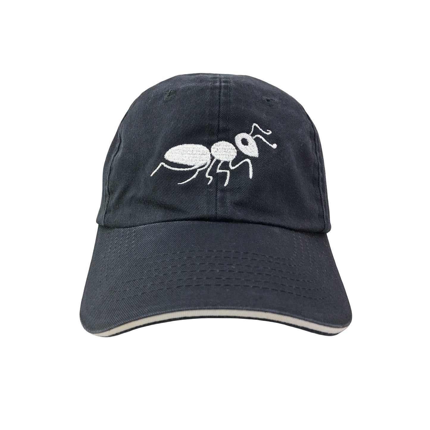 Vintage The Ant Farm Dad Hat