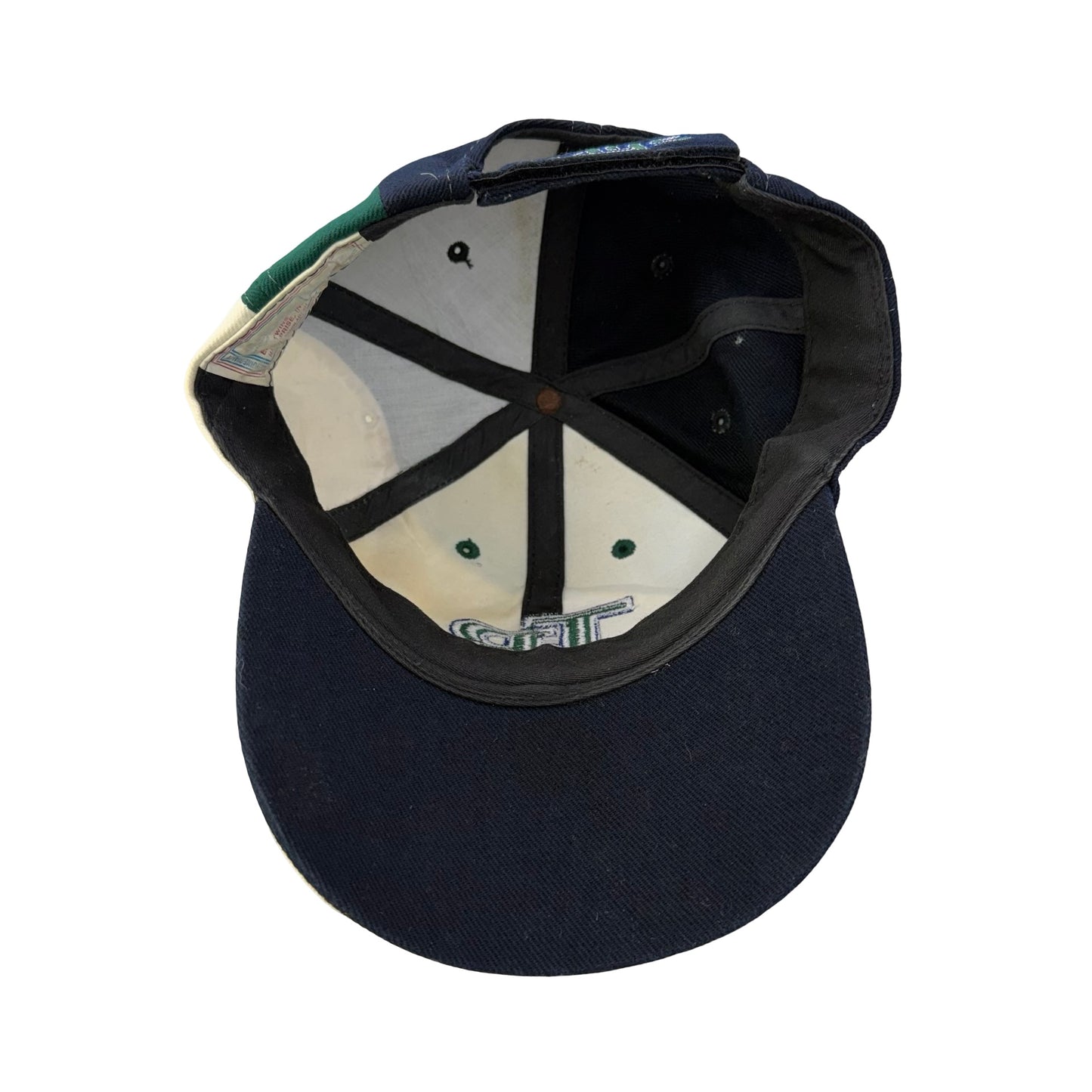 Vintage Tampa Bay Devil Rays Hat