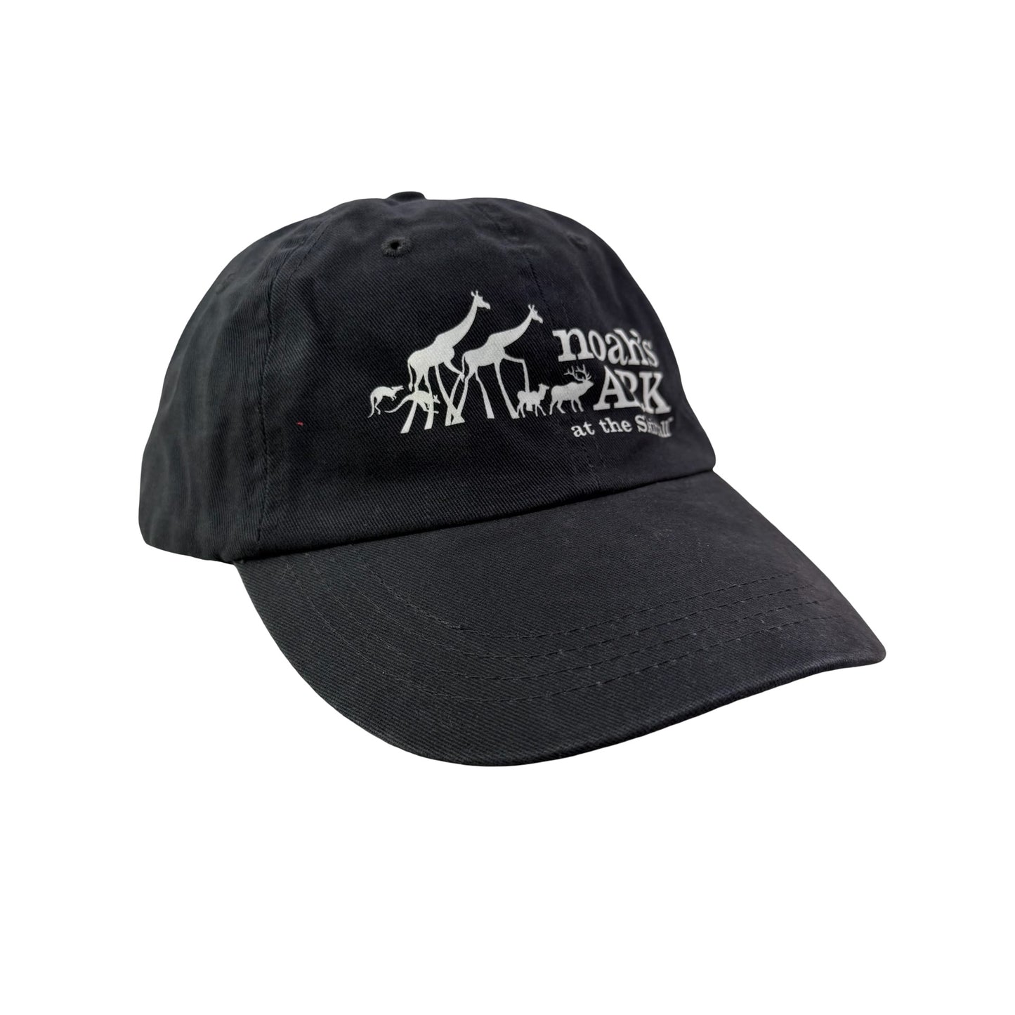 Noah’s Ark at the Skirball Dad Hat