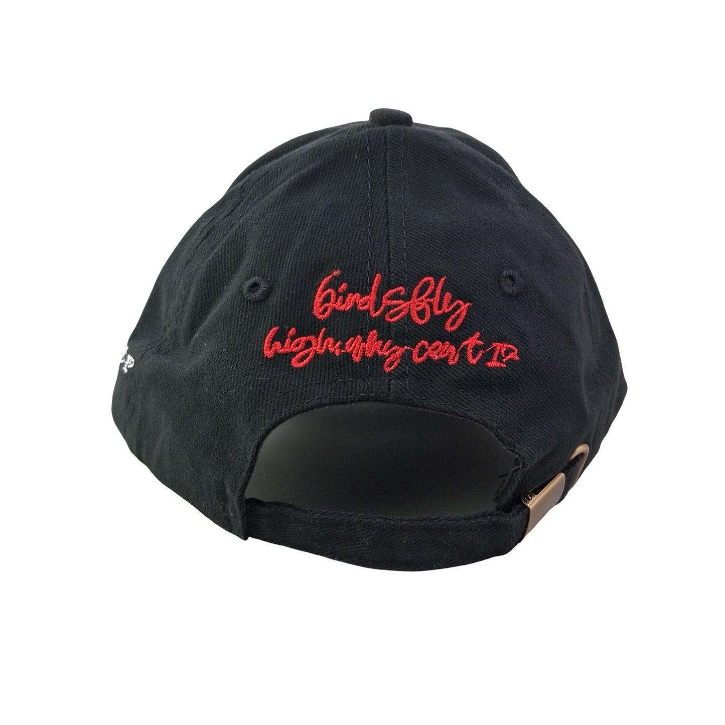 Birds Fly (Like Basquiat Art) Hat