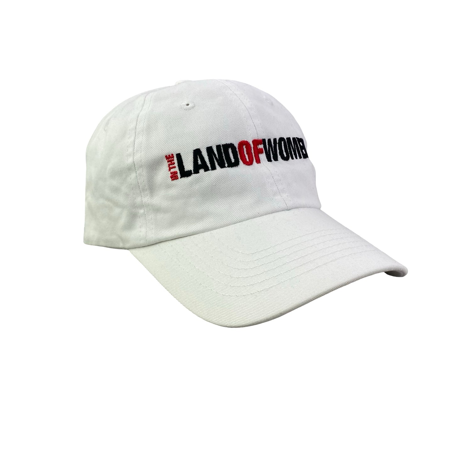 Vintage 2000s 2007 In the Land of Women Movie Promo Dad Hat