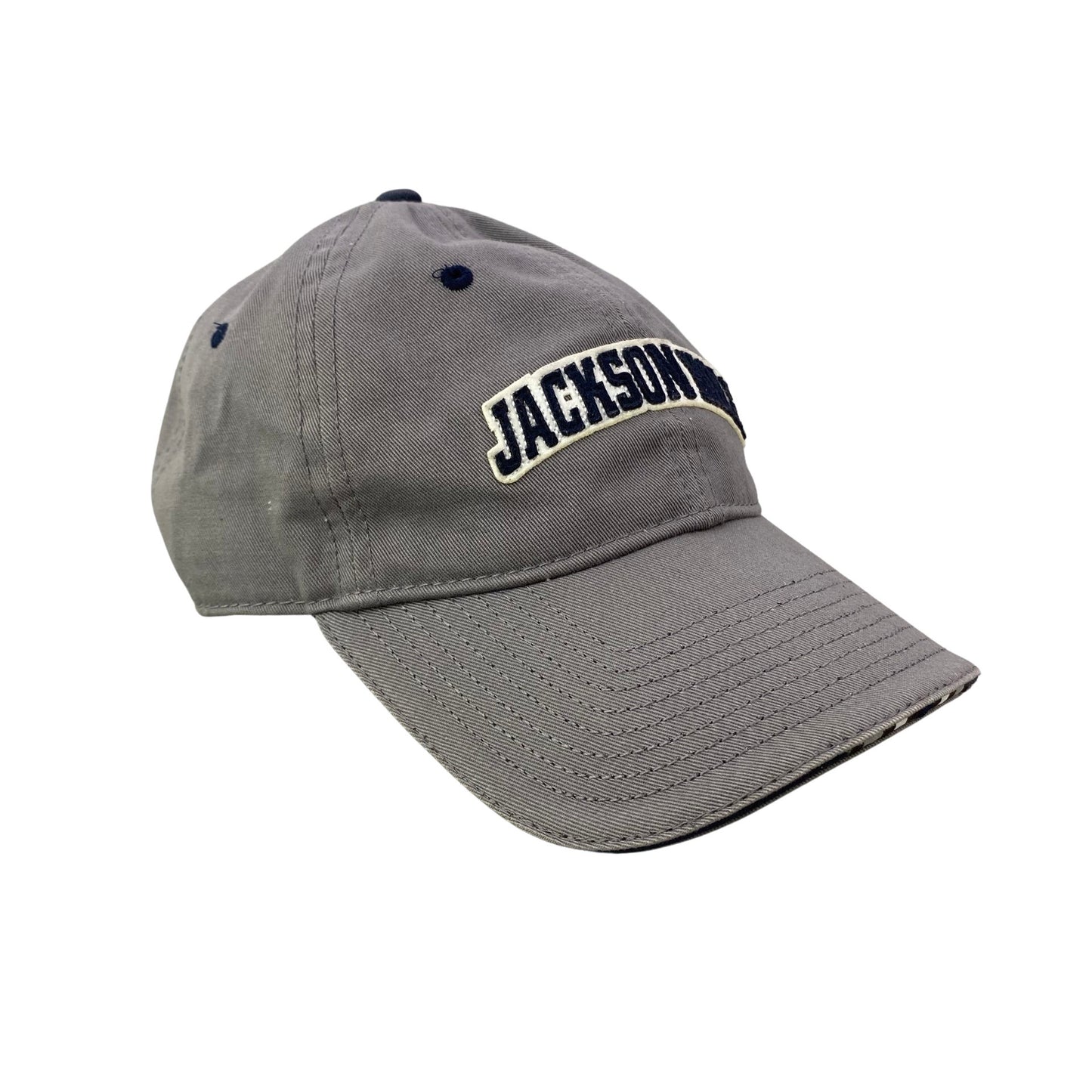 Vintage Jackson Hole Dad Hat