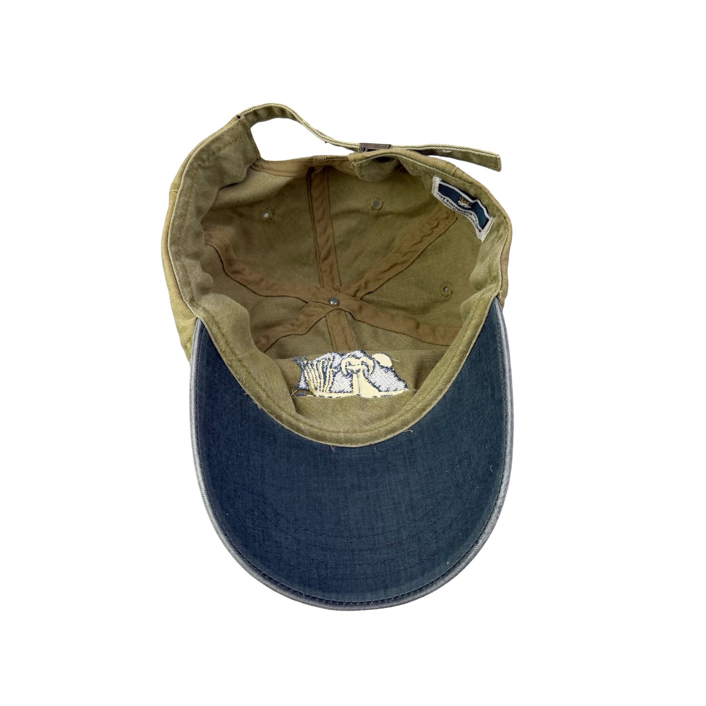 Vintage Anza Borrego National Park Dad Hat