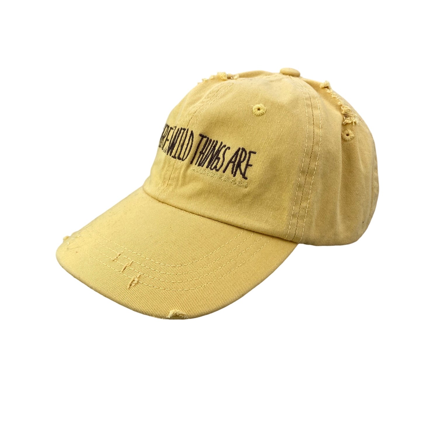 2000s Where the Wild Things Are (2009) Movie Promo Dad Hat