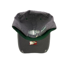 Load image into Gallery viewer, Michigan St Spartans College Dad Hat
