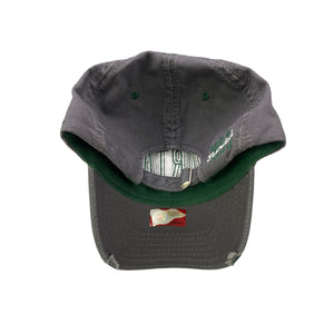 Michigan St Spartans College Dad Hat