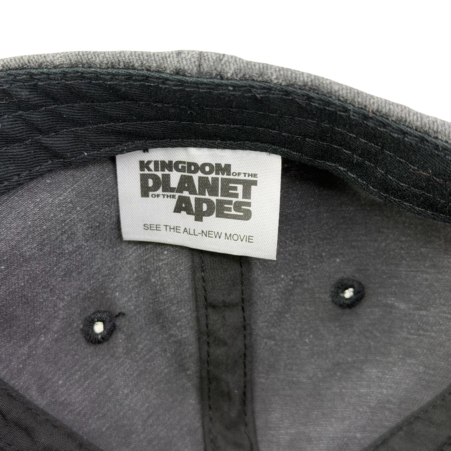 Kingdom of the Planet Apes Movie Dad Hat - B