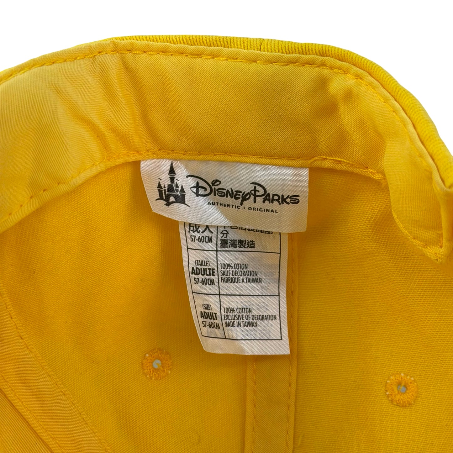 Disney Dad Hat
