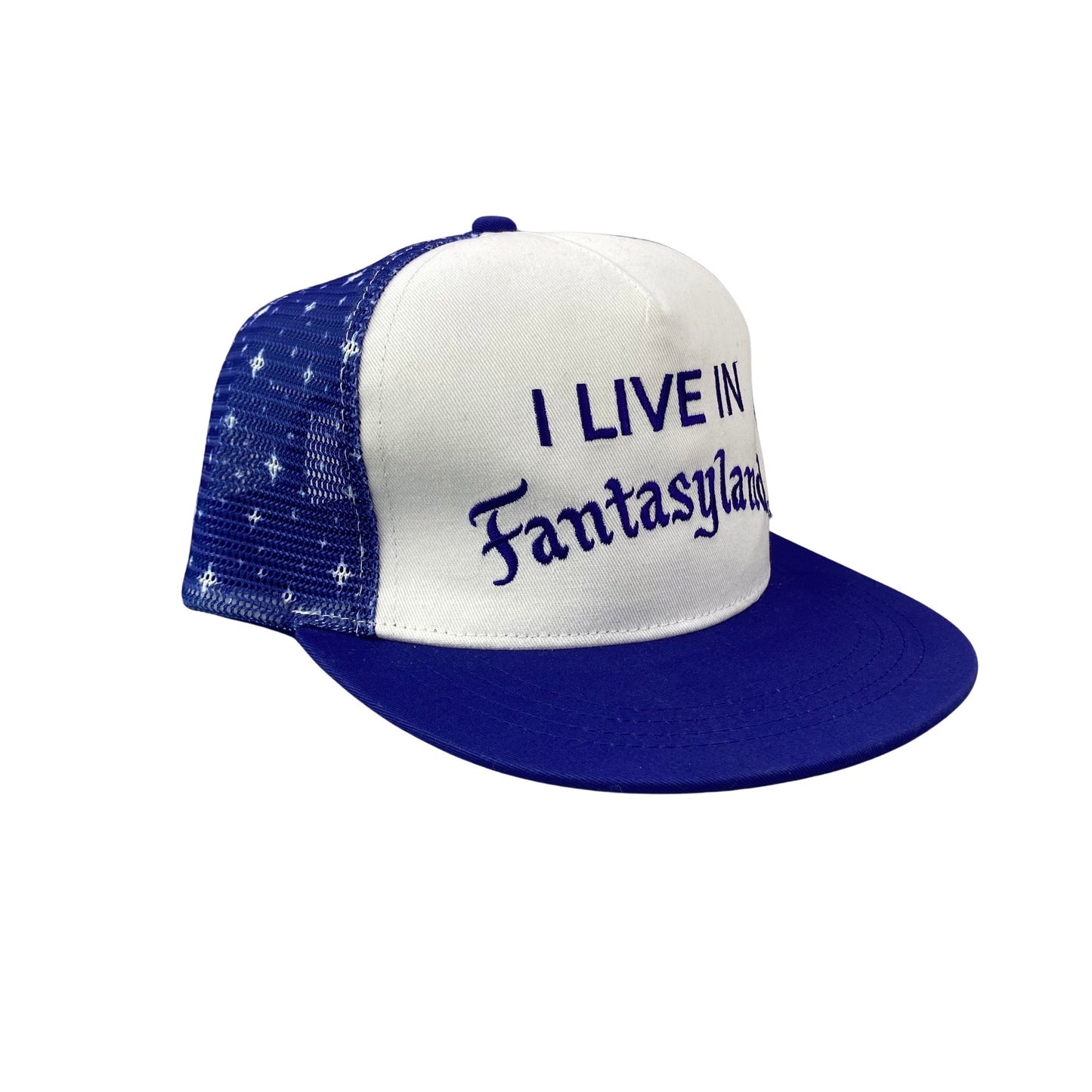 Disney x I Live In Fantasyland Trucker Hat