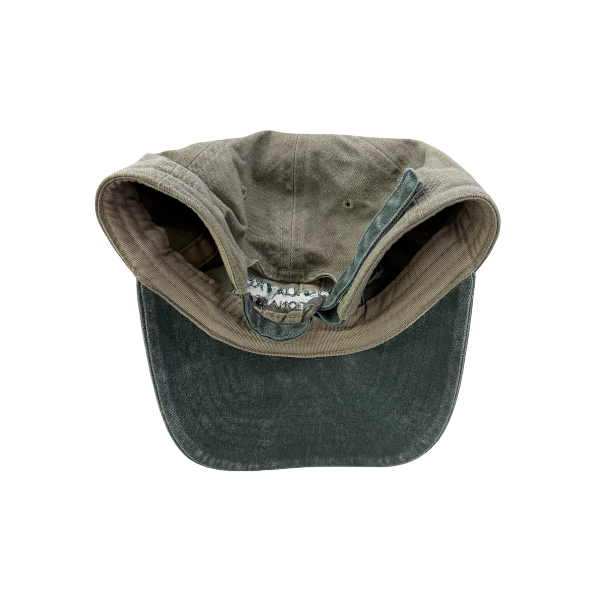 Joshua Tree Dad Hat