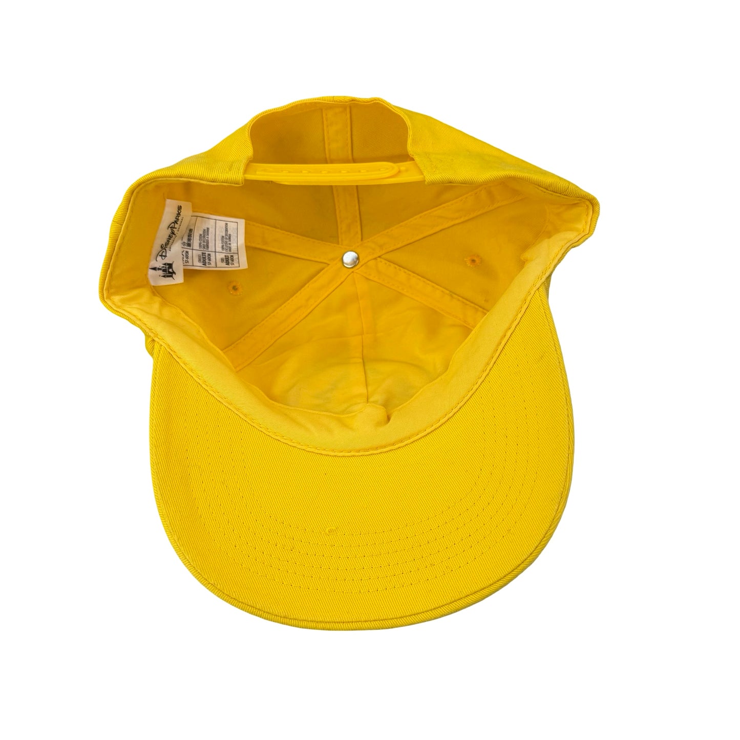 Disney Dad Hat