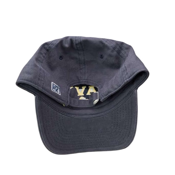 Navy Swimming College Dad Hat