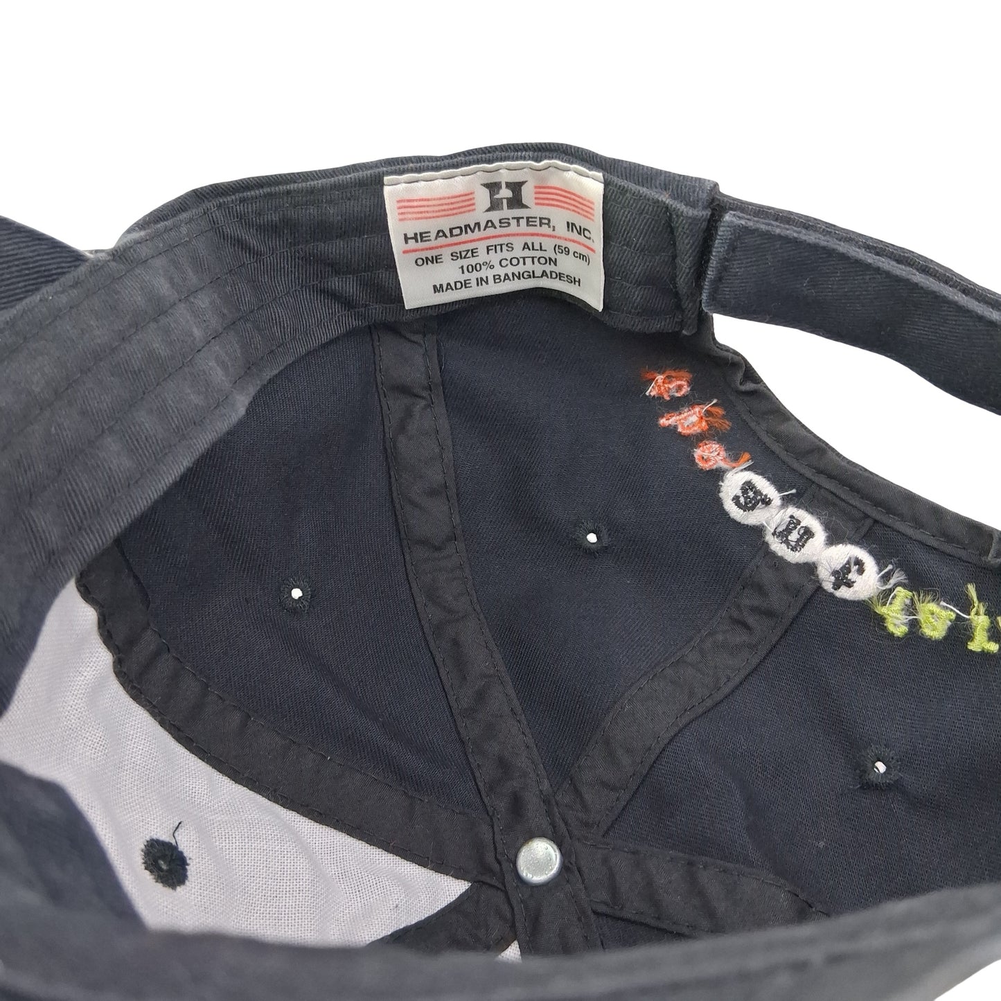 Vintage The Ant Farm Dad Hat