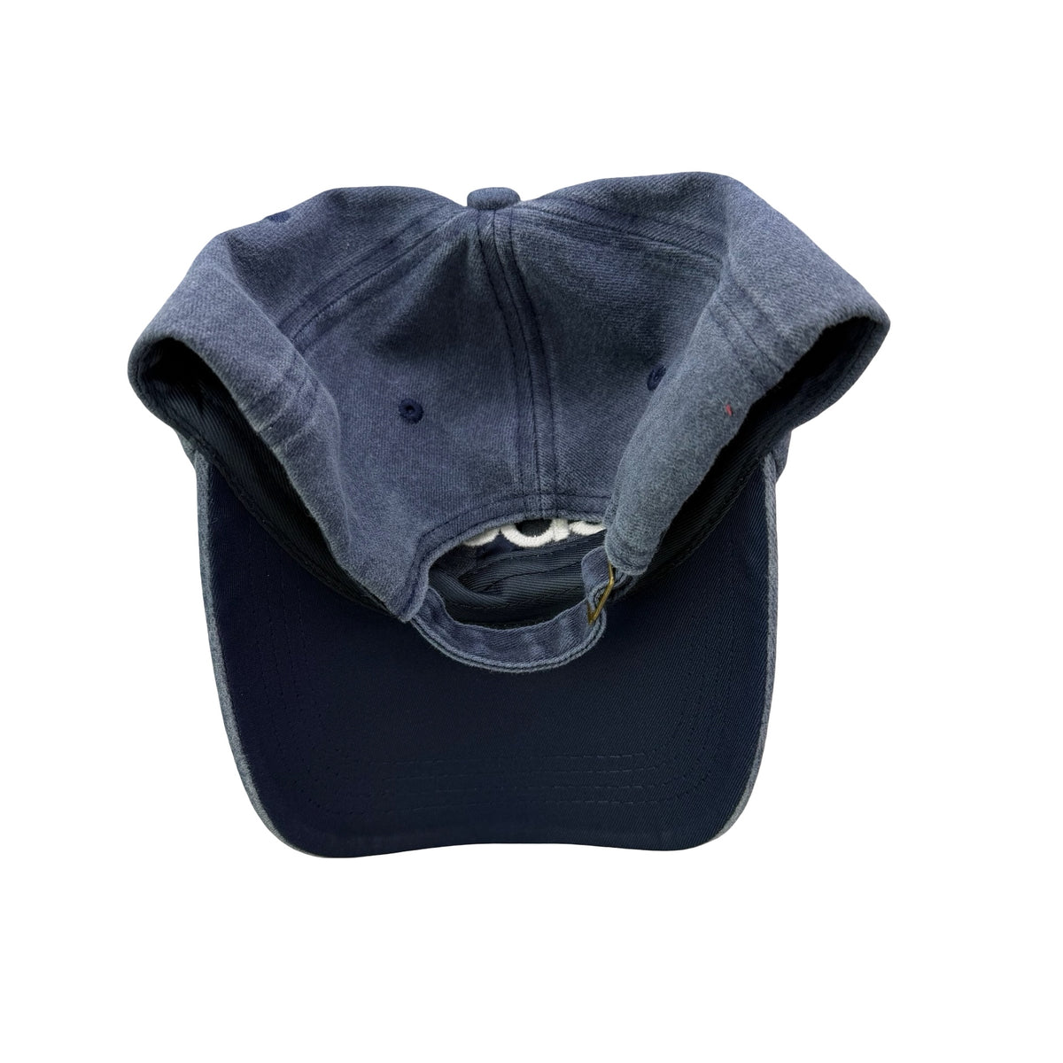 eBay Promo Dad Hat