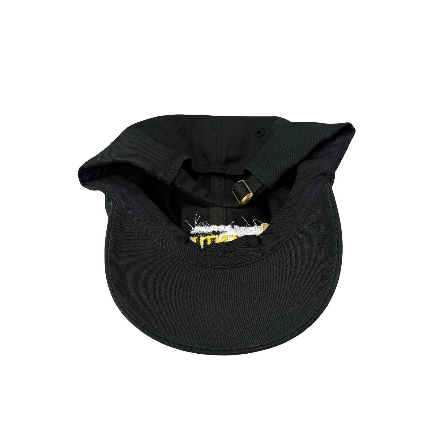 National Graphic Dad Hat