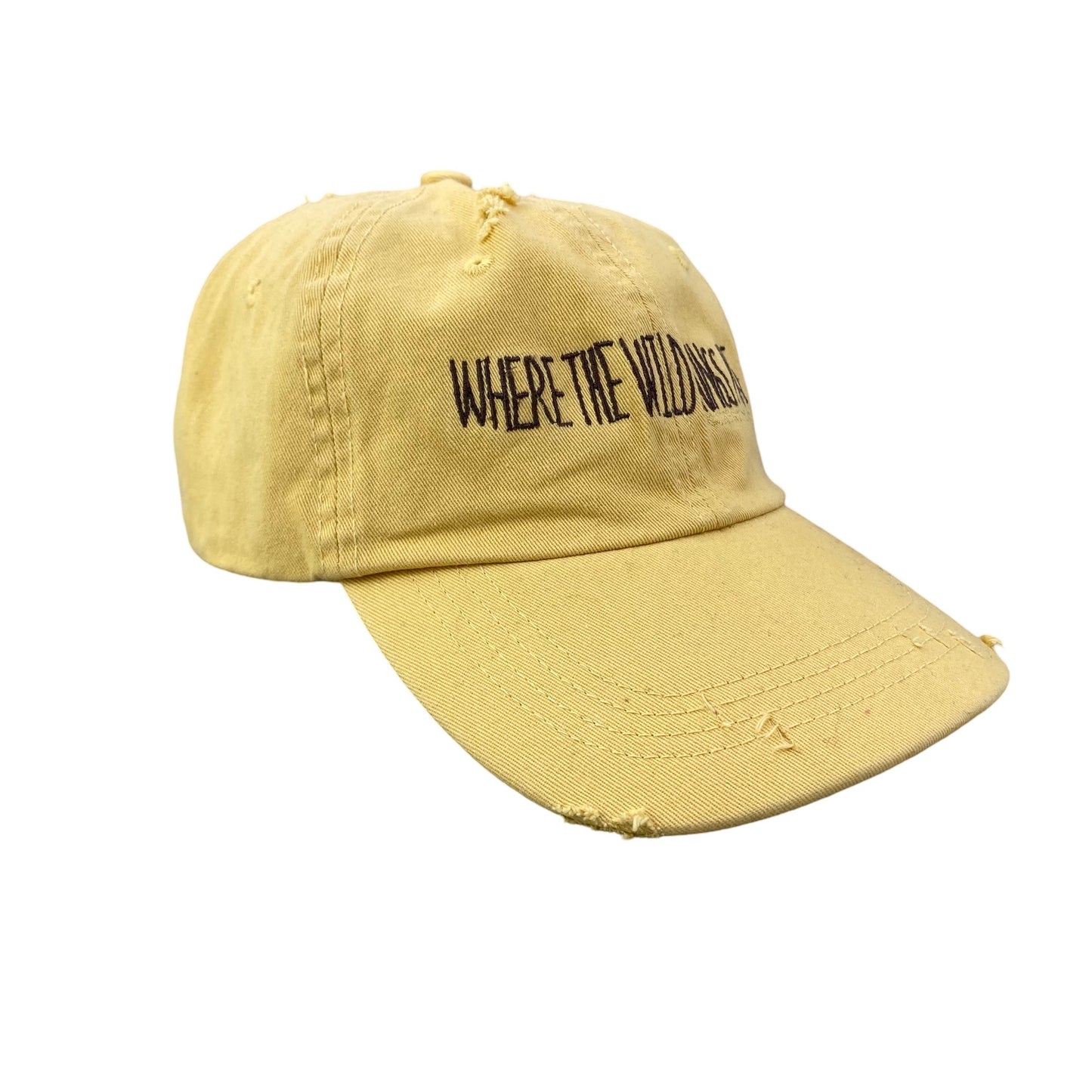 2000s Where the Wild Things Are (2009) Movie Promo Dad Hat