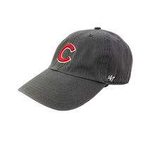 Load image into Gallery viewer, Chicago Cubs x Ropes &amp; Gray Promo Dad Hat
