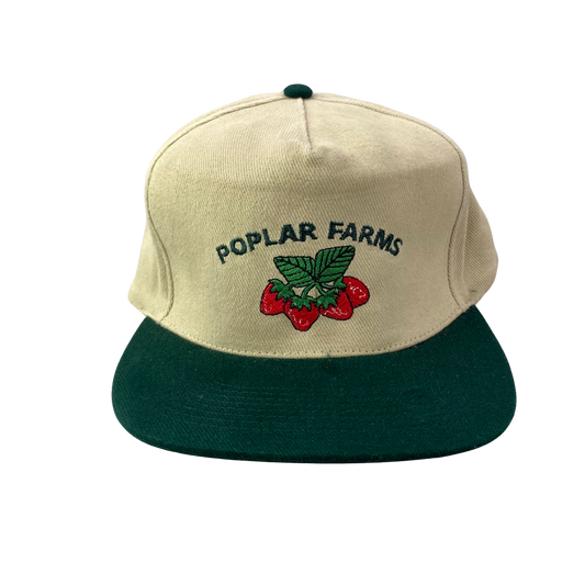 Vintage 90s Hat - Poplar Farms - B