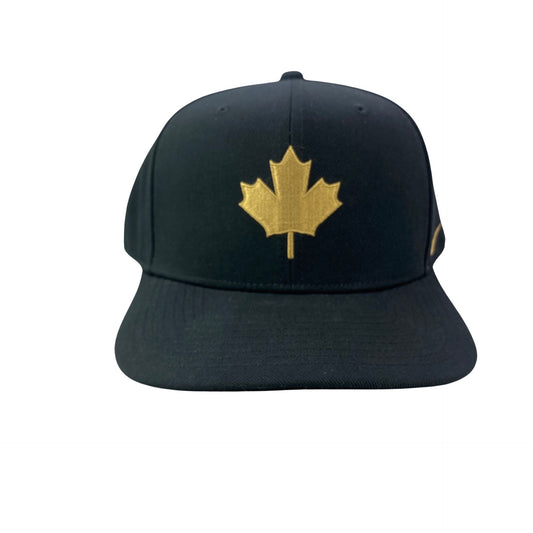 Toronto Raptors Logo Hat