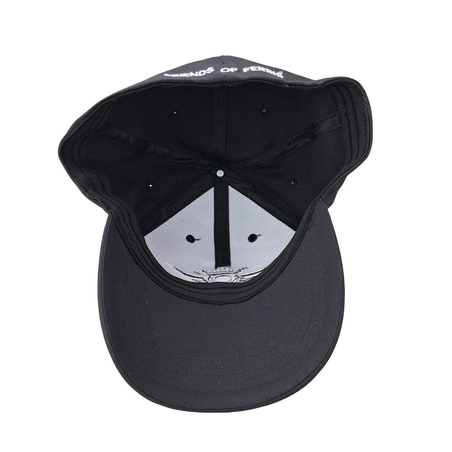 Friends of Ferris Hat