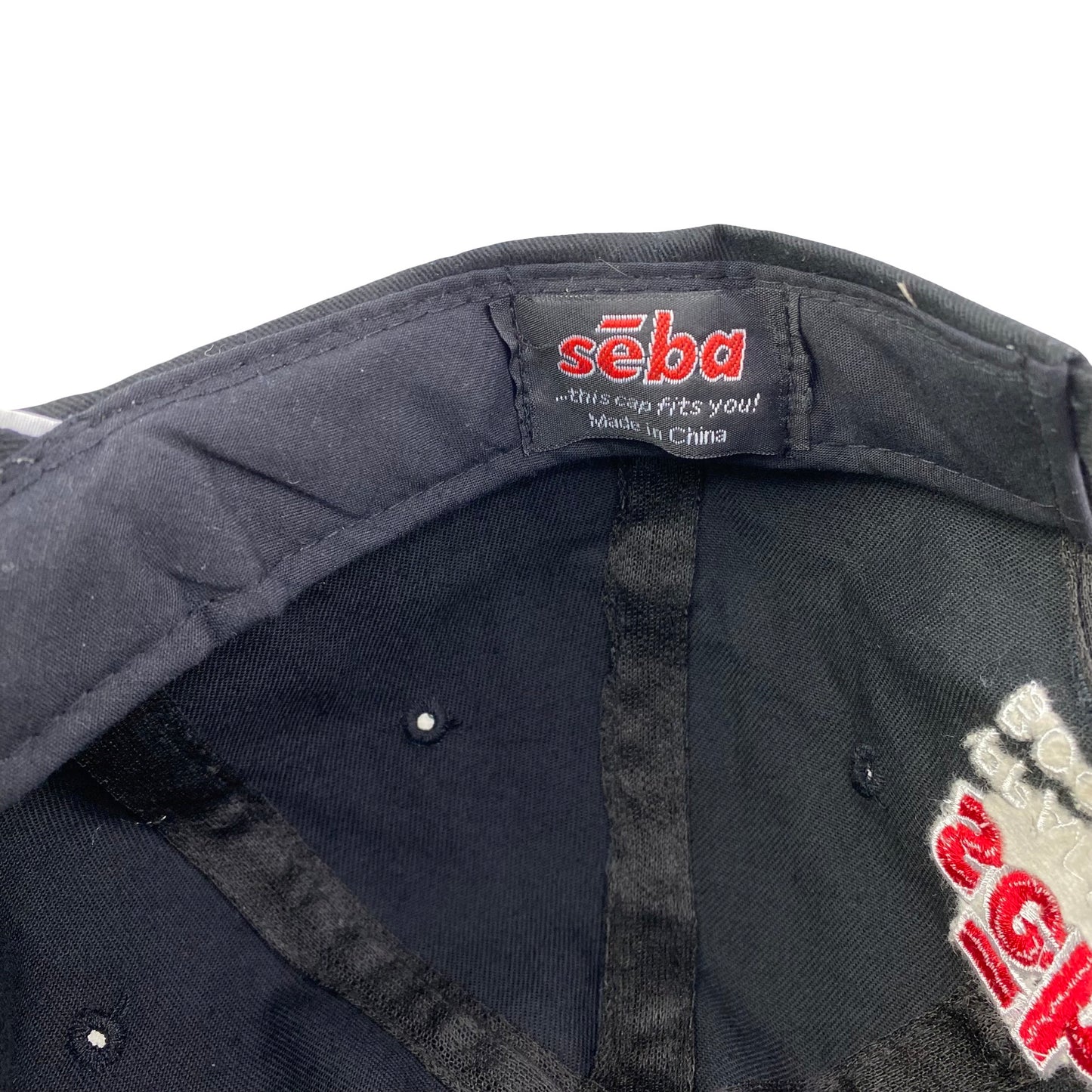 Vintage 2000s PPAI The Expo Las Vegas Dad Hat
