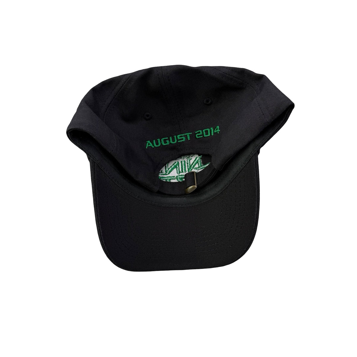 2014 Teenage Mutant Ninja Turtles Movie Promo Dad Hat