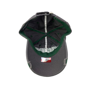 Michigan St Spartans College Dad Hat