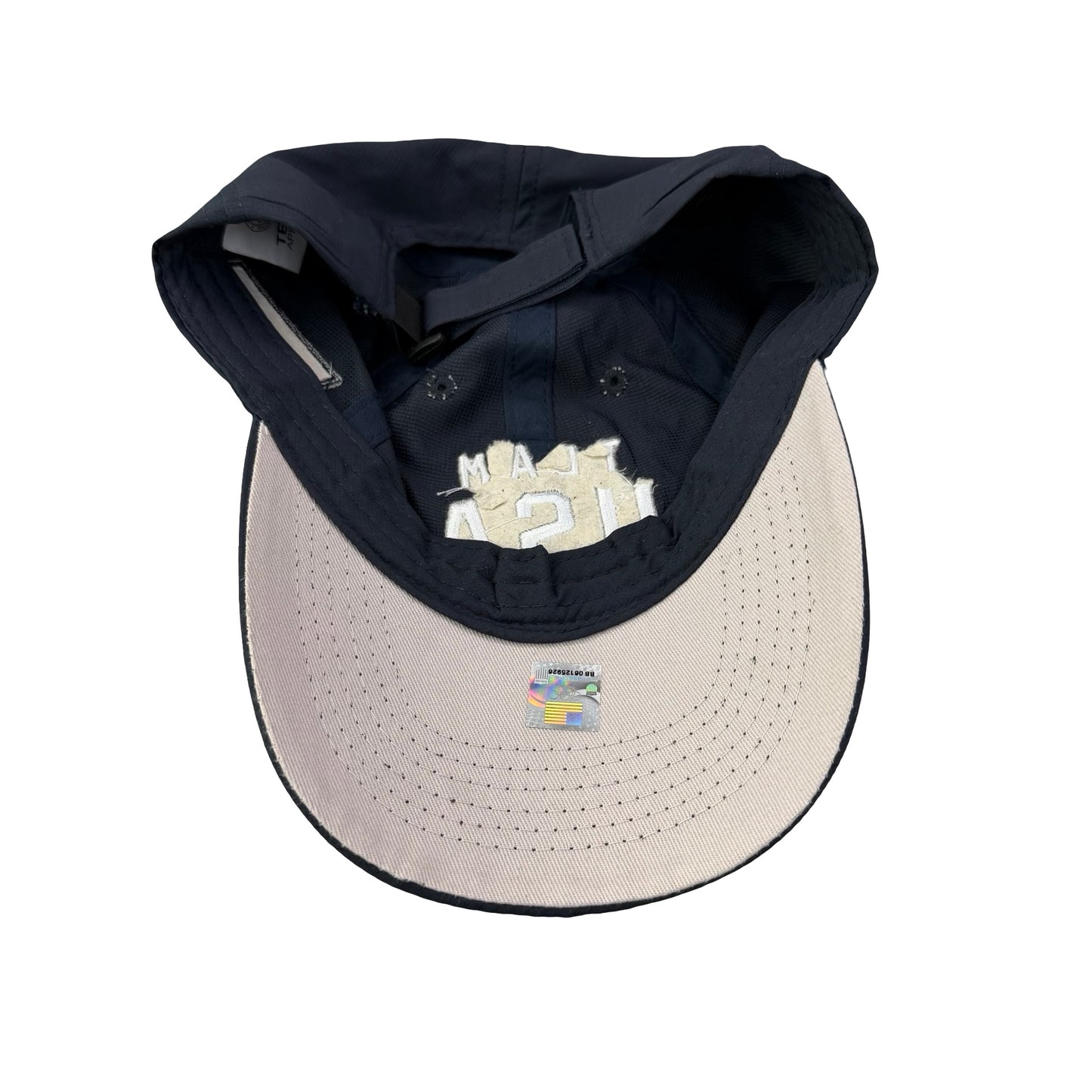 Team USA Promo Dad Hat
