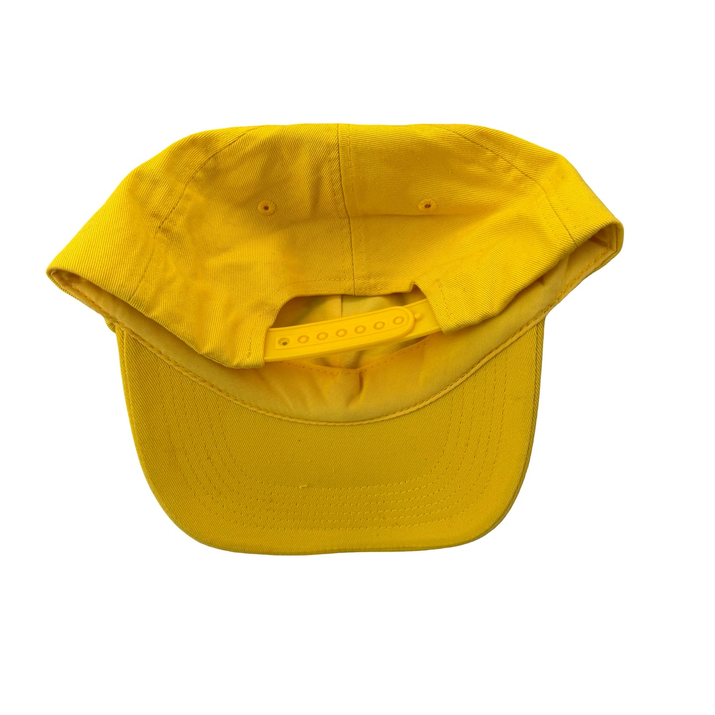 Disney Dad Hat