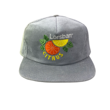 Load image into Gallery viewer, Vintage 80s 90s Lorsban Citrus Corduroy Hat
