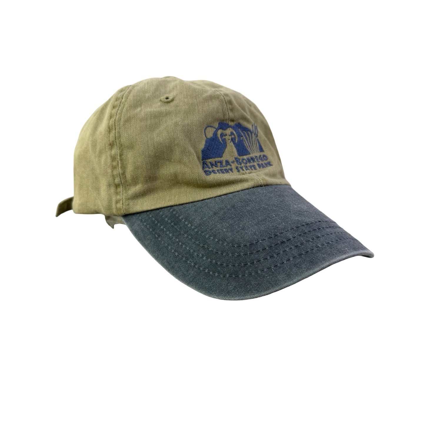 Vintage Anza Borrego National Park Dad Hat