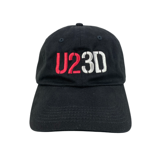 Vintage 2000s U2 3D Movie Promo Dad Hat