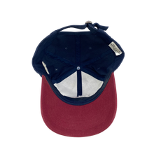 Load image into Gallery viewer, BASS USA Dad Hat
