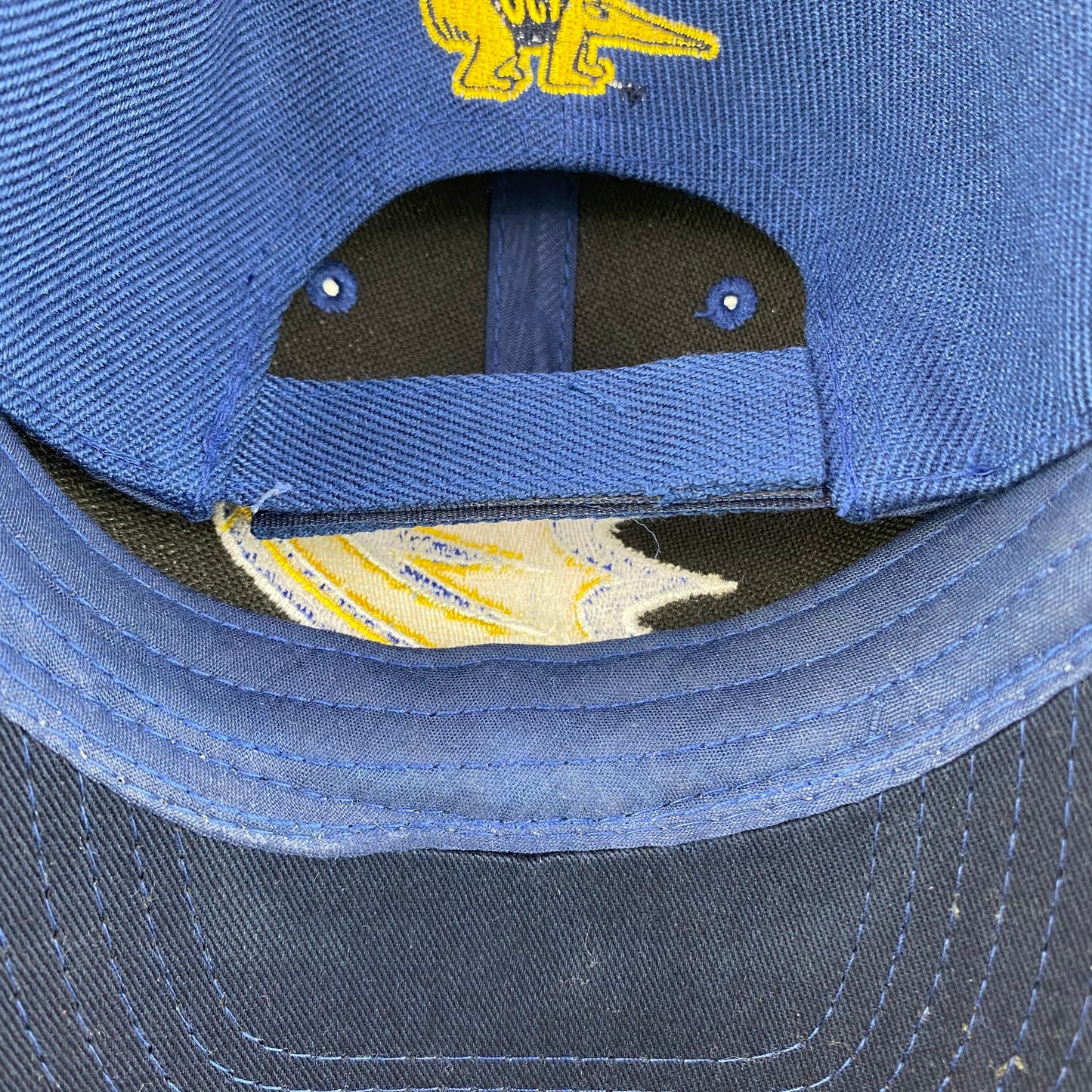 UC Irvine Anteaters x Anaheim Ducks Promo Hat