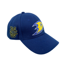 Load image into Gallery viewer, UC Irvine Anteaters x Anaheim Ducks Promo Hat
