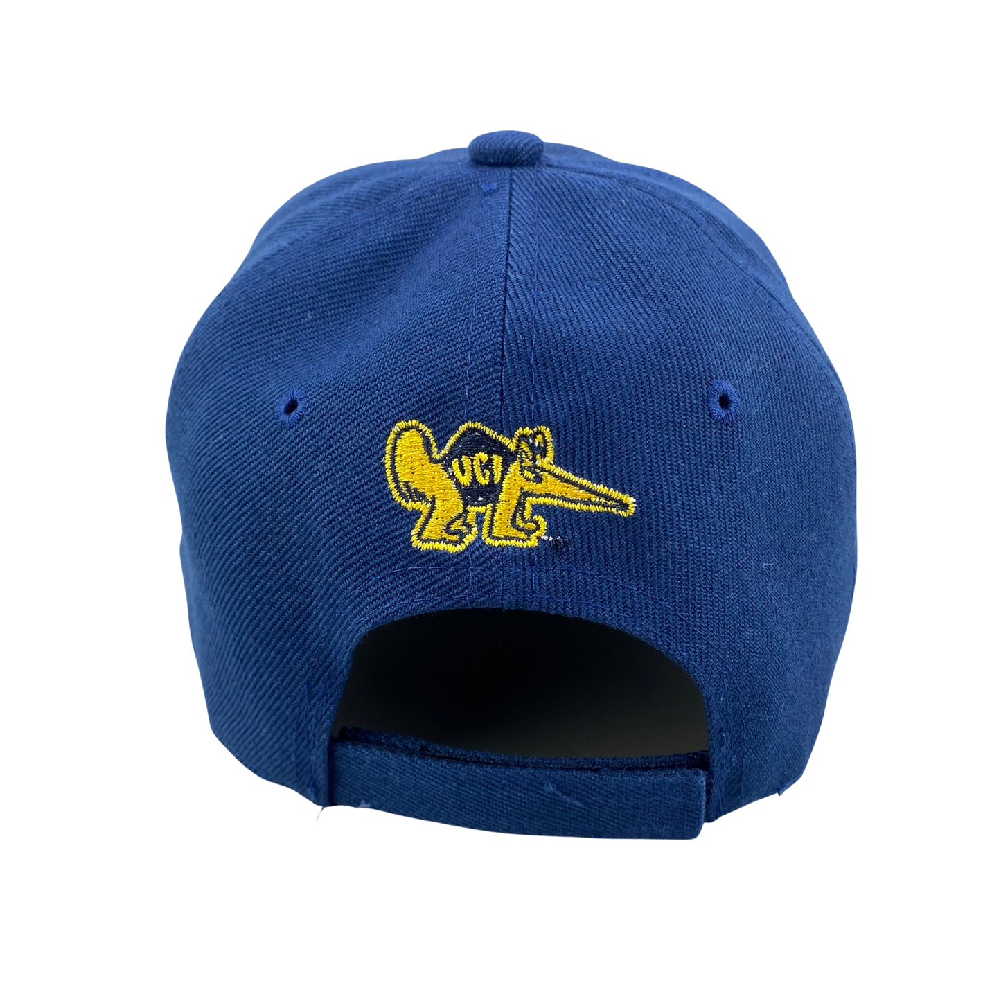 UC Irvine Anteaters x Anaheim Ducks Promo Hat