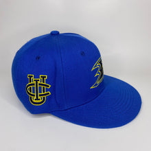 Load image into Gallery viewer, Anaheim Ducks x UC Irvine Night Hat
