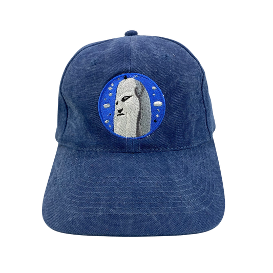 Vintage Blue Floyd Band Tour Hat