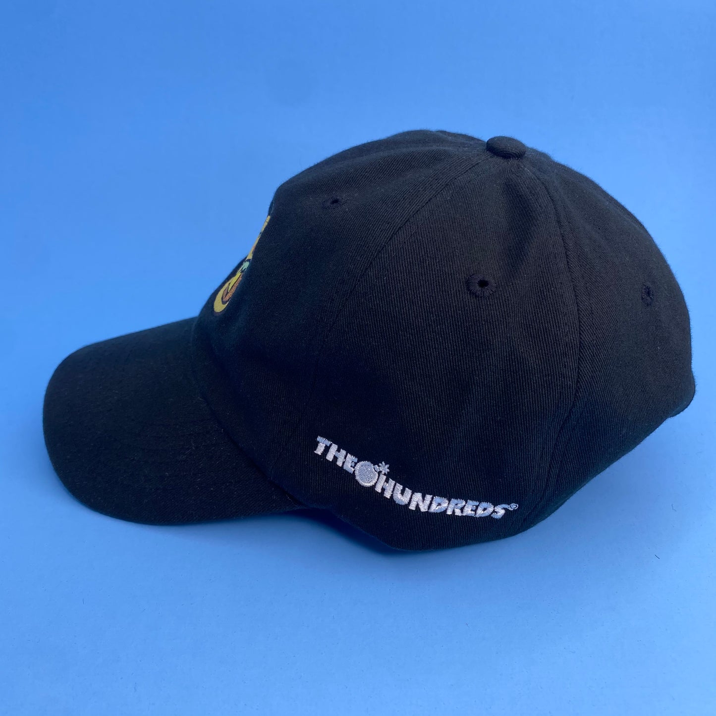 The Hundreds x Family Style Dad Hat