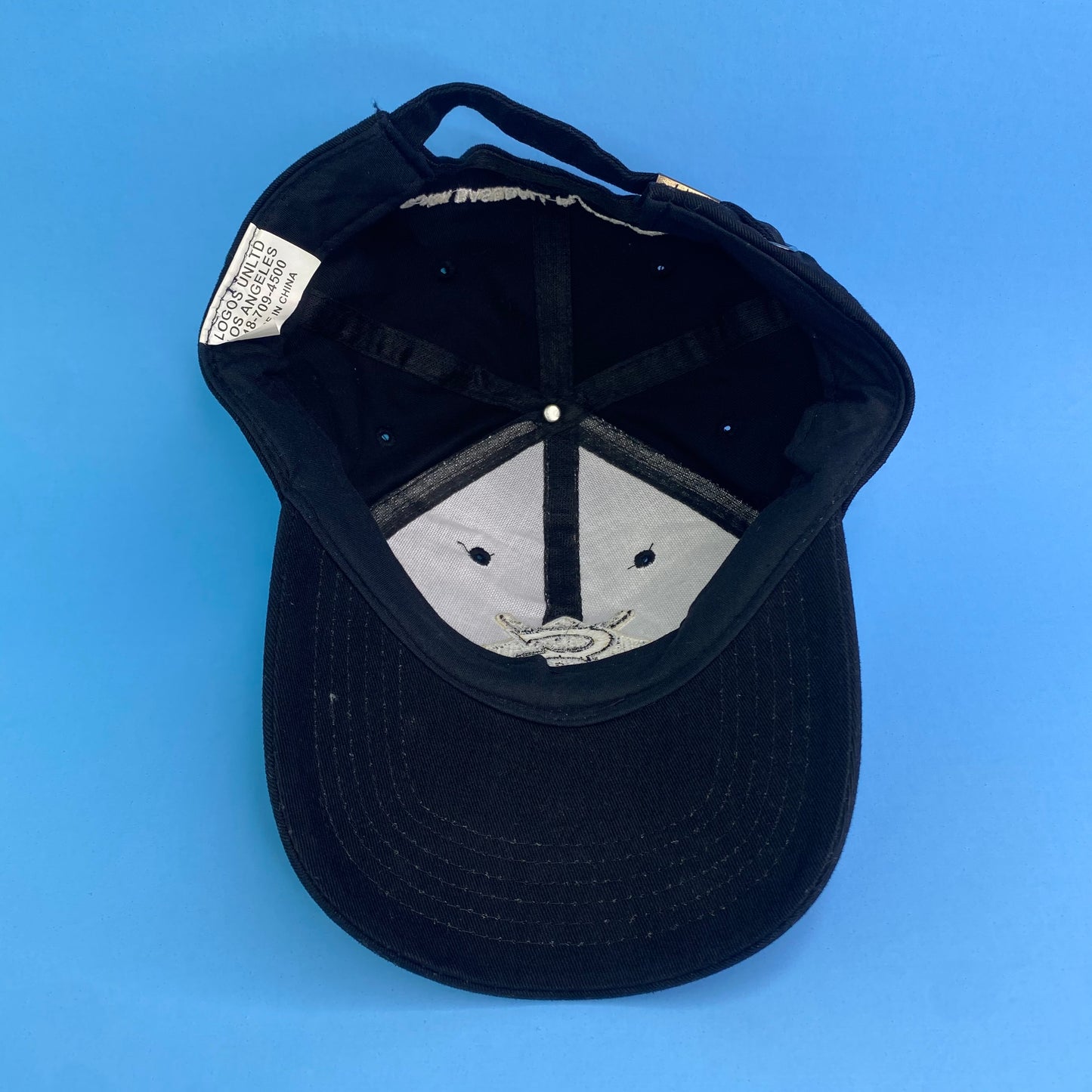 Black Baseball Players Association Hat