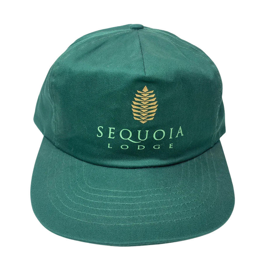 Vintage 90s Disney Paris Sequoia Lodge Hat