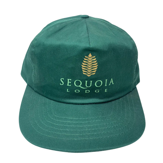 Vintage 90s Disney Paris Sequoia Lodge Hat