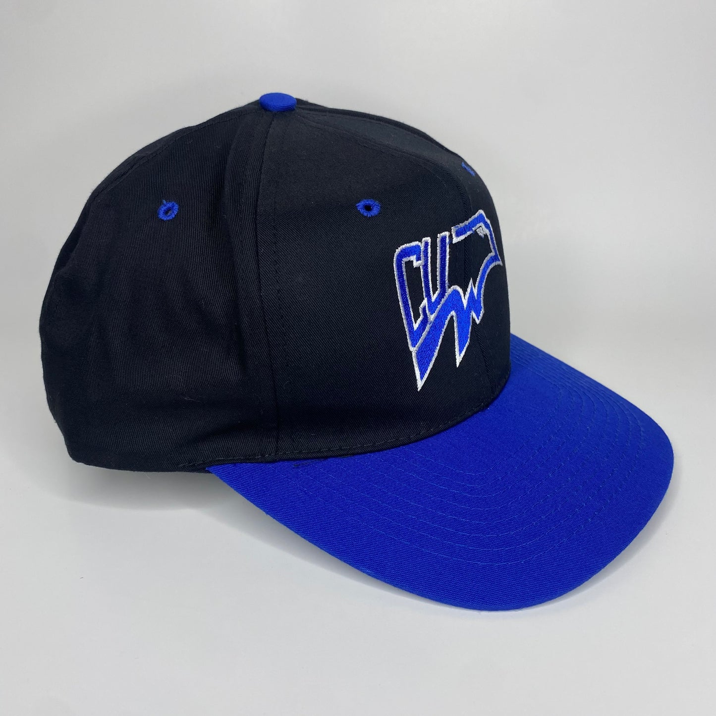 Vintage 90s CUW Concordia University Wisconsin Falcons Hat