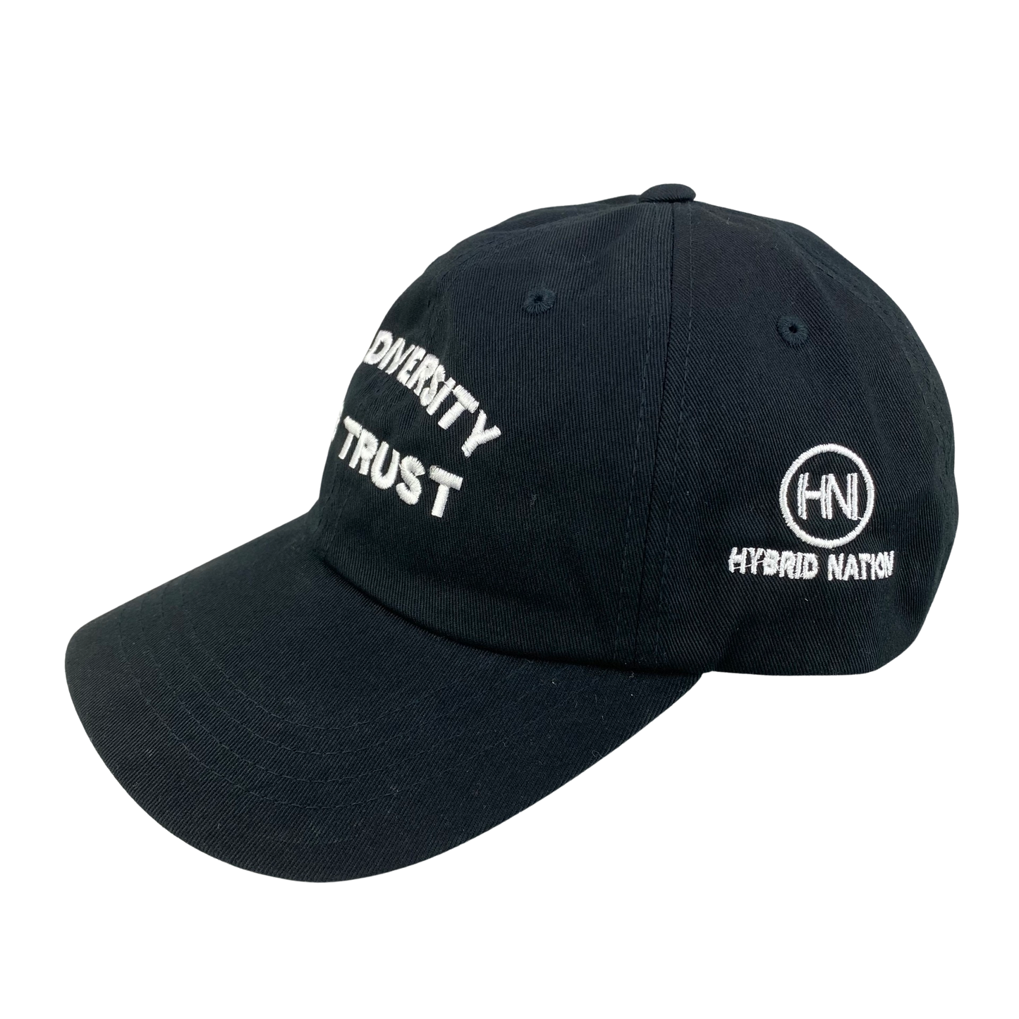 TNT TBS - In Diversity We Trust Dad Hat