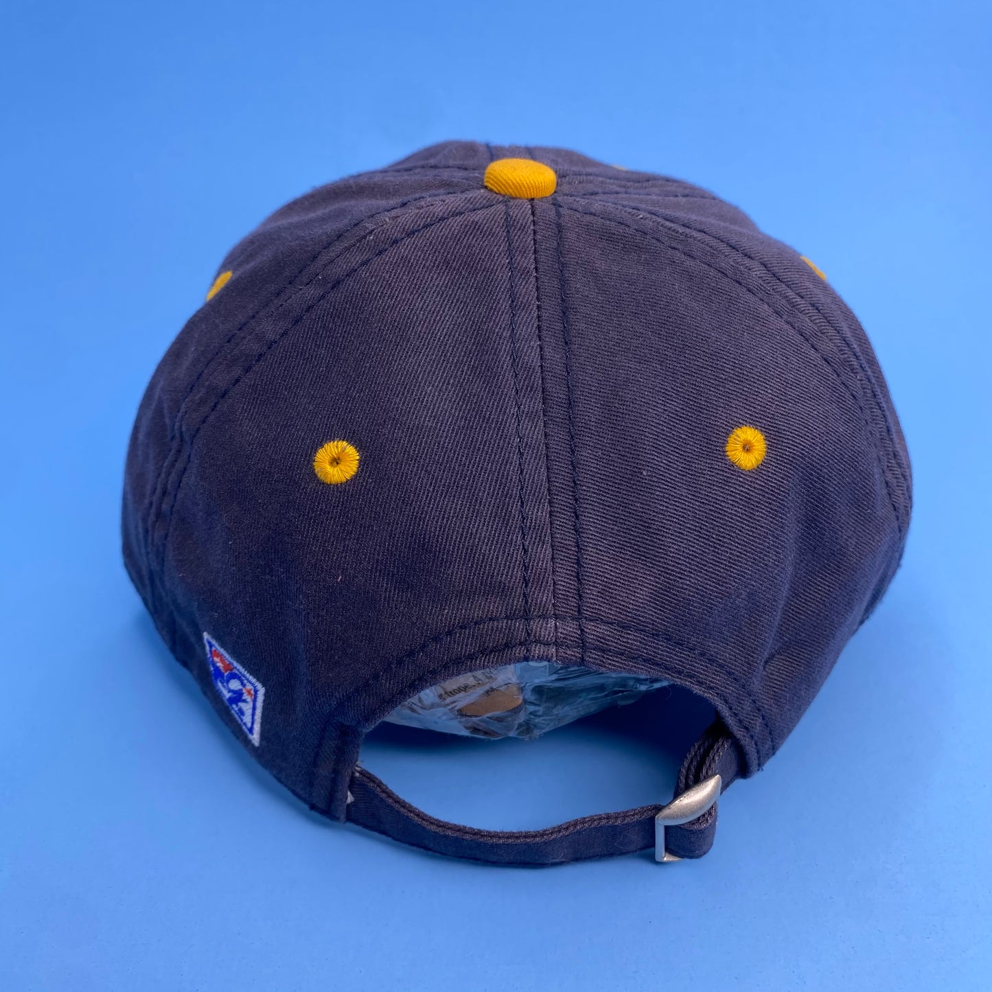 UCSB Santa Barbara Dad Hat