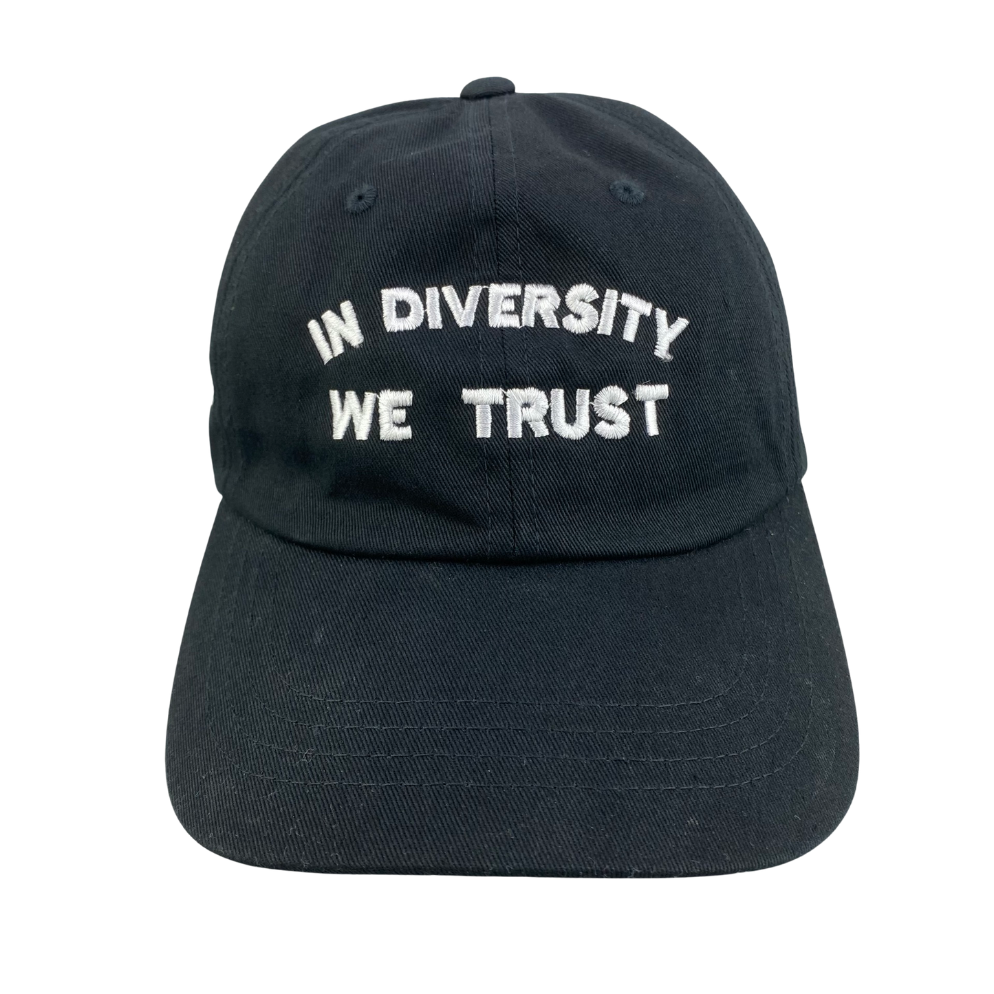 TNT TBS - In Diversity We Trust Dad Hat