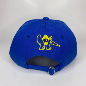 Anaheim Ducks x UC Irvine Night Hat