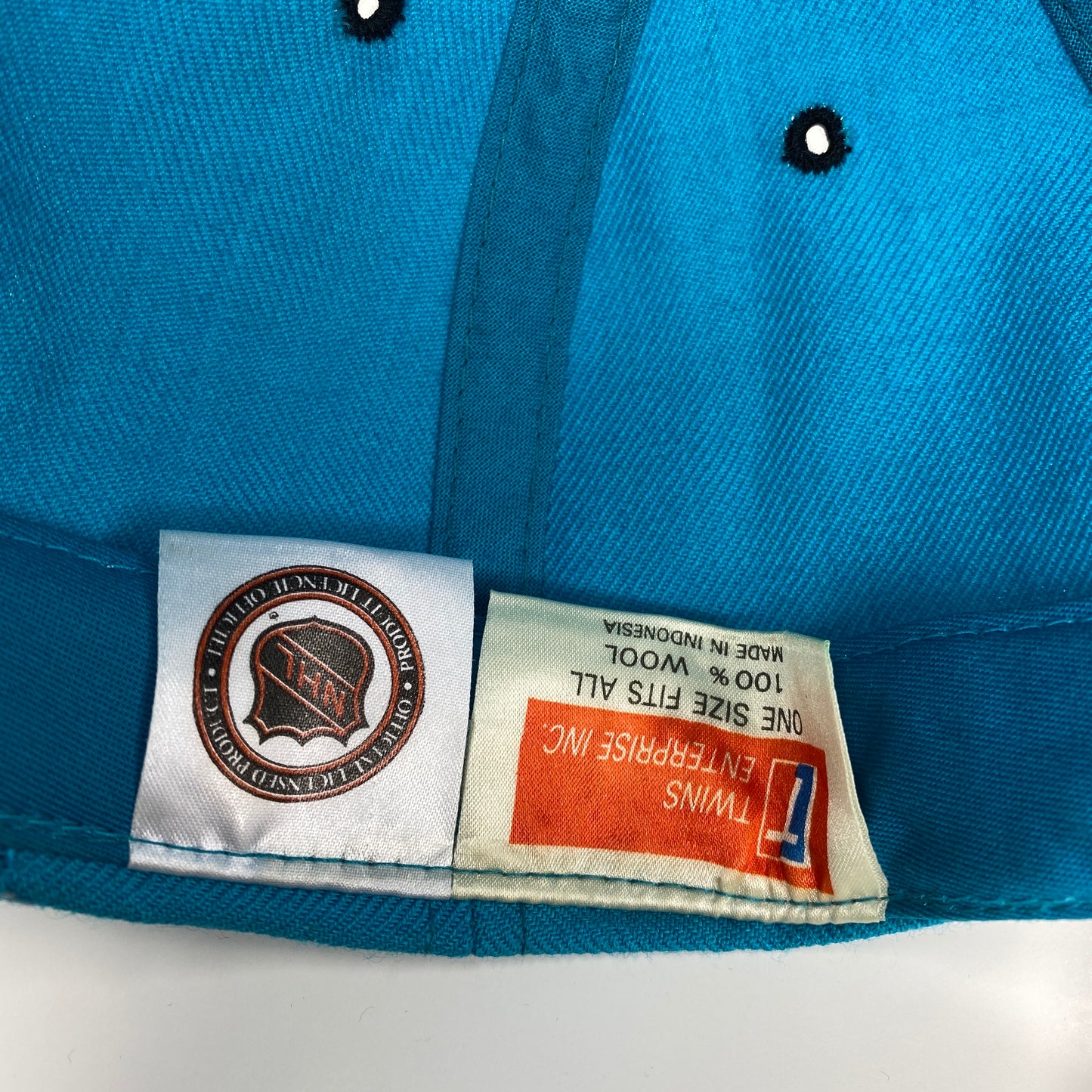 Vintage San Jose Sharks hat